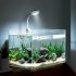 Usb Charging Small Fishbowl  Led  Light With Separate Power Switch High Brightness Clip type Mini Water Grass Lamp Aquarium