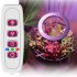 Usb Led Grow  Light 1 2 3 4 Dimmable Full Spectrum Ring Light Plant Growing Lamp For Indoor Plants 2 heads
