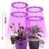 Usb Led Grow  Light 1 2 3 4 Dimmable Full Spectrum Ring Light Plant Growing Lamp For Indoor Plants 1 head