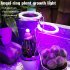 Usb Led Grow  Light 1 2 3 4 Dimmable Full Spectrum Ring Light Plant Growing Lamp For Indoor Plants 4 heads