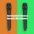 V3 Dual Channels Wireless Microphone Mic System Hi Fi Sound Wireless Mic System for KTV Silver EU plug