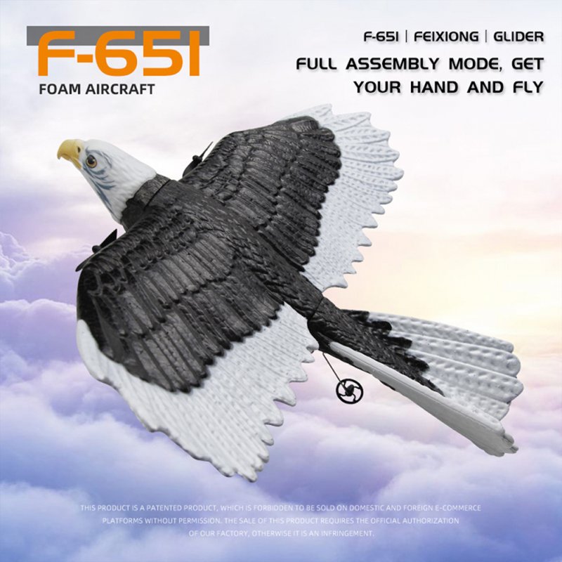 FX651 RC Plane Eagle Airplane 2.4G Remote Control Aircraft EPP Foam Fixed-wing RC Glider Model For Boys Girls Gifts 
