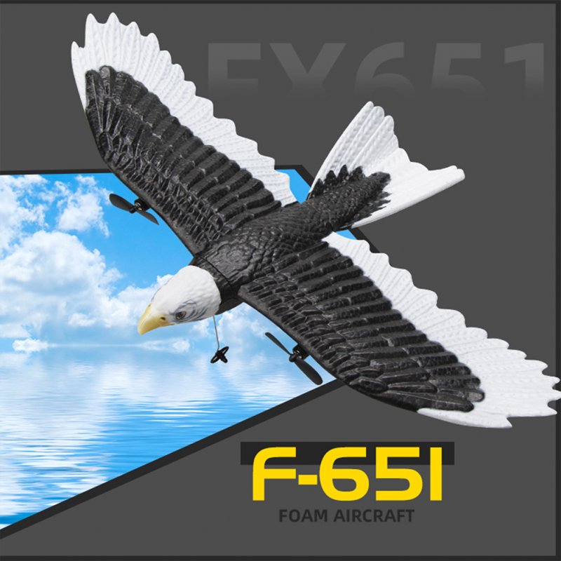 FX651 RC Plane Eagle Airplane 2.4G Remote Control Aircraft EPP Foam Fixed-wing RC Glider Model For Boys Girls Gifts 
