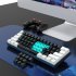 V900 Gaming Keyboard 61 Keys Wired Computer Keyboard With Colorful LED Backlight Keyboard For Laptop PC Tablet White black blue light