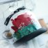 Valentines Day Gift Exclusive Rose In Glass Dome with Lights Eternal Real Rose Mother s Day Gifts Red
