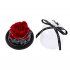 Valentines Exclusive In Glass Dome with Lights Eternal Real Rose Christmas Day Gift Rose red