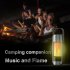 Versatile Bluetooth Speaker Fast Charge Hi Fi Sound Effect Flame Light Outdoor Emergency Lamp with USB Charging Function black
