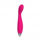 Vibrator Clitoral Massager Nipple Vibrator With 10 Mode Pleasure Stimulator Sex Toy For Adult Couples Women rose red