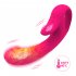 Vibrator G Spot Vibrator Clitoral Heating Massager Nipple Vibrator with 10 Frequency Double Motor Vibration Rose Red