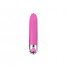 Vibrator G Spot Vibrator Clitoral Massager Nipple Vibrator Pleasure Stimulator Sex Toy