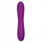 Vibrator G Spot Vibrator Clitoral Massager With 10 Modes Nipple Vibrator Pleasure Stimulator Sex Toy For Adult Couples Women Purple