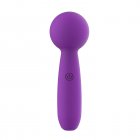 Vibrator G Spot Vibrator Clitoral Massager Nipple Vibrator Pleasure Stimulator With 10 Modes Sex Toy For Adult Couples Women Purple