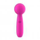 Vibrator G Spot Vibrator Clitoral Massager Nipple Vibrator Pleasure Stimulator With 10 Modes Sex Toy For Adult Couples Women rose red