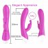 Vibrator G Spot Vibrator With 10 Modes Clitoral Massager Nipple Vibrator Pleasure Stimulator Sex Toy For Adult Couples Women Purple