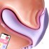 Vibrator G Spot Vibrator Clitoral Massager Nipple Vibrator Pleasure Stimulator Silicone  ABS Small Program Connection Remote Control Sex Toy For Adult Couples W