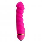 Vibrator G-spot Clitoral Stimulator Female Silicone Dildo Adult Sex Toys Realistic Penis Strong Motor Masturbator rose red