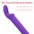 Vibrators For Women Sex Toys For Adult G Spot Massager For Female Clitoral Masturbator Erotic Toys Dildos For Women Purple Section B