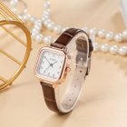 Vintage Small Square Dial Watch with Leather Band for Women Fashion Simple Quartz Watch Brown