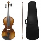 Viola Spruce Wood Hand Made Professional Viola Set Viola Kit For Student With Carrying Case Bow 4/4 Viola Education Instrument For Beginners Students Kids 4/4-retro color
