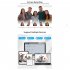 WHD613 WIFI Camera Surveillance Camera Clear HD Recording Night Vision Smart Camera For Home Security Guard US Plug