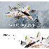 WLtoys XK X450 2 4G 6CH 3D 6G RC Airplane Brushless Motor Vertical Take off LED Light RC Glider Fixed Wing RC Plane Aircraft RTF EU plug