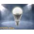 Warm White LED Light Bulb for use in all incandescent screw in base   fixtures 
