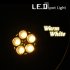 Warm white LED Light Bulb for use in all incandescent screw in base   fixtures 