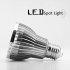 Warm white LED Light Bulb for use in all incandescent screw in base   fixtures 