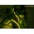 Warm white colored LED strip light   This 5M long waterproof LED light strip is extremely flexible and can be used as decorative lighting for trees or   