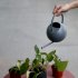 Watering Can 1L Long Spout Spherical Household Indoor Plant Potted Stainless Steel Watering Kettle black
