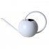 Watering Can 1L Long Spout Spherical Household Indoor Plant Potted Stainless Steel Watering Kettle black