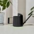 Watering Can For Indoor Plants Comfortable Handle Long Spout Water Can Capacity 300ML Spouted Watering Kettle black