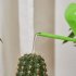 Watering Can For Indoor Plants Comfortable Handle Long Spout Water Can Capacity 300ML Spouted Watering Kettle bronze