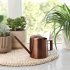 Watering Can For Indoor Plants Comfortable Handle Long Spout Water Can Capacity 300ML Spouted Watering Kettle black