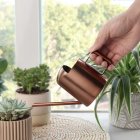 Watering Can For Indoor Plants Comfortable Handle Long Spout Water Can Capacity 300ML Spouted Watering Kettle bronze