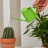Watering Can For Indoor Plants Comfortable Handle Long Spout Water Can Capacity 300ML Spouted Watering Kettle bronze