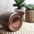 Watering Can For Indoor Plants Comfortable Handle Long Spout Water Can Capacity 300ML Spouted Watering Kettle bronze