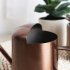 Watering Can For Indoor Plants Comfortable Handle Long Spout Water Can Capacity 300ML Spouted Watering Kettle bronze