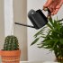 Watering Can For Indoor Plants Comfortable Handle Long Spout Water Can Capacity 300ML Spouted Watering Kettle bronze