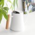 Watering Can With Long Spout 35oz Stainless Steel Leak proof Rust proof Indoor Watering Can With Wooden Handle For Indoor Plants Flowers Watering black