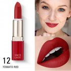 Waterproof Matte Lipstick Do Not Fade Moisturizing Nourishing Women Makeup Tools  12 colors