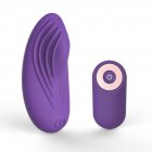 Wearable Vibrator Wireless Remote Fun Egg Dildo For Women Clitoral Stimulator Usb Rechargeable Adult Sex Toy