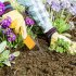 Weeding Tool For Gardening And Yard Work  Loop Hoe Weed Remover Tool  Portable Sharp Blades Manual Weeder Tool For Weeding  Loosening  And Planting 395 yellow