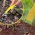 Weeding Tool For Gardening And Yard Work  Loop Hoe Weed Remover Tool  Portable Sharp Blades Manual Weeder Tool For Weeding  Loosening  And Planting 395 yellow