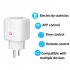 Wifi Smart Socket 16a Ac 100 240v Plug Timing Power Monitor App Voice Control for Alexa US Plug