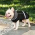 Winter Waterproof Outdoor Pet Dog Jacket Reflective Thicken Warm Coat Dog Clothes blue XXL