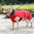 Winter Waterproof Outdoor Pet Dog Jacket Reflective Thicken Warm Coat Dog Clothes blue XXL
