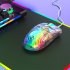 Wired Gaming Mouse  Ergonomic 13 RGB Backlit  USB Plug And Play Mouse  High Precision 12800 DPI Mice  With 7 Programmable Keys  For Laptop PC Desktop Computer w