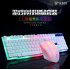 Wired USB PC Gamer Suspension Mechanical Feel Keyboard   Mouse Set Photoelectric Laptop Computer Backlit Keyboard Set white