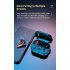 Wireless Bluetooth Earbuds TWS 5 0 Earphone Waterproof Sport Intelligent black